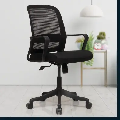 Executive Mesh and Rexine Chair