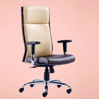 Executive Mesh and Rexine Chair Dealers in Chennai