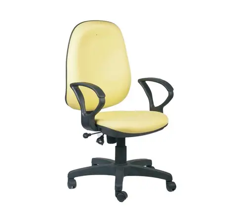 Executive Mesh and Rexine Chair